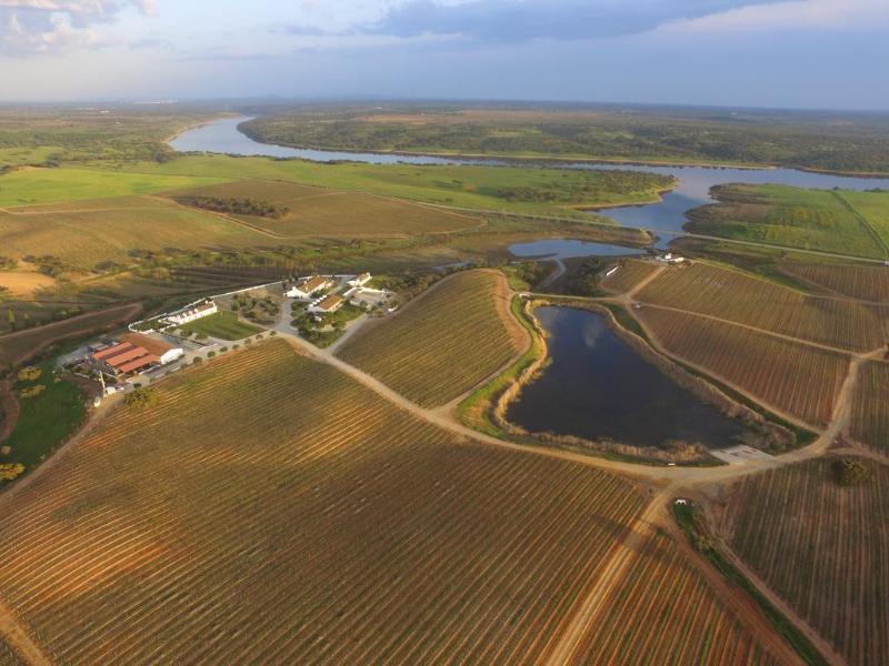 Herdade Do Sobroso Wine & Luxury Boutique Hotel Pedrogao  ภายนอก รูปภาพ