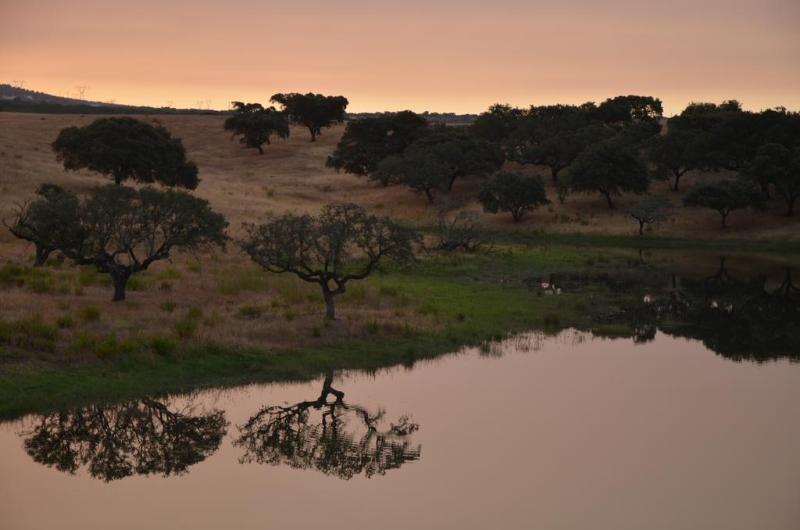 Herdade Do Sobroso Wine & Luxury Boutique Hotel Pedrogao  ภายนอก รูปภาพ
